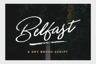 Belfast Font Review: Authentic Script for Designers