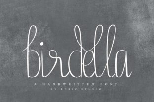 Birdella: A Magical Script Font for Editorial Design