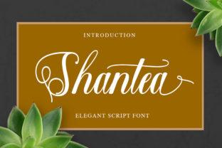 Shantea: A Modern Script Handwritten Font for Web Design