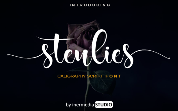 Stenlies: The Friendly Script Font for Campaigns